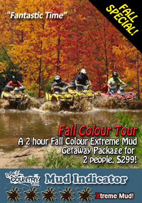 algonquin park fall colour atv tour ontario 2 hours for 2 people 299
